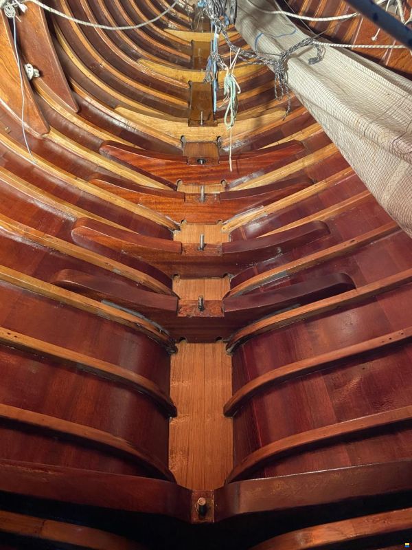 Wirz Classic Drachen