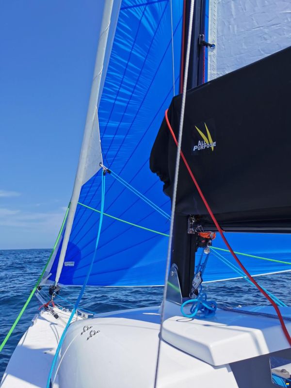 Tricat 20
