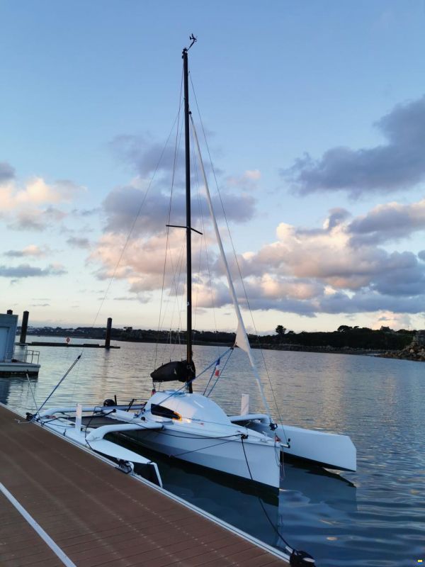 Tricat 20