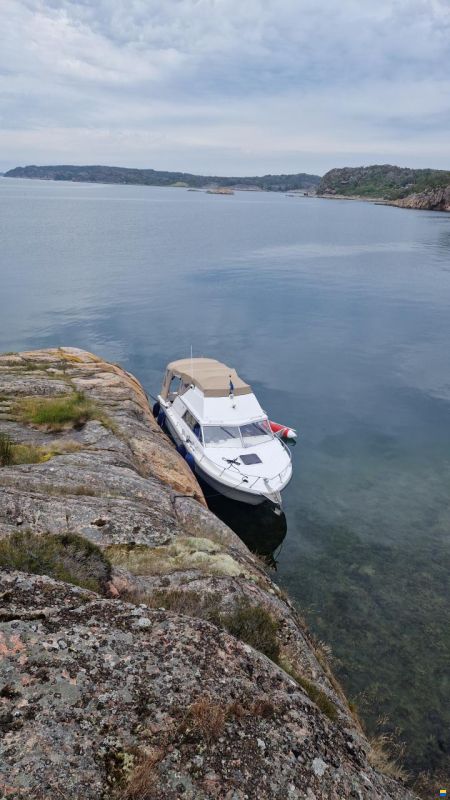 Campion Toba Fly 26