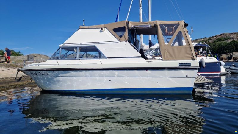 Campion Toba Fly 26