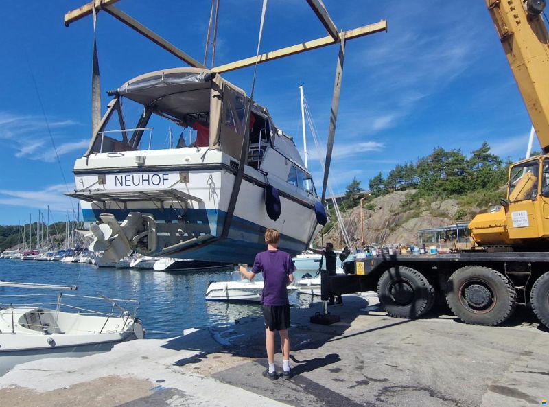 Campion Toba Fly 26