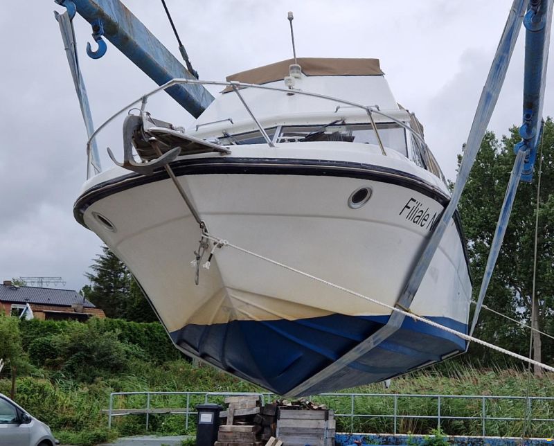 Campion Toba Fly 26