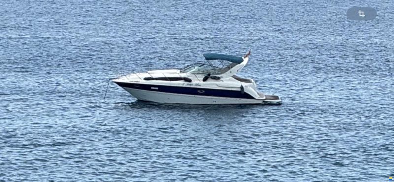 Bayliner 305