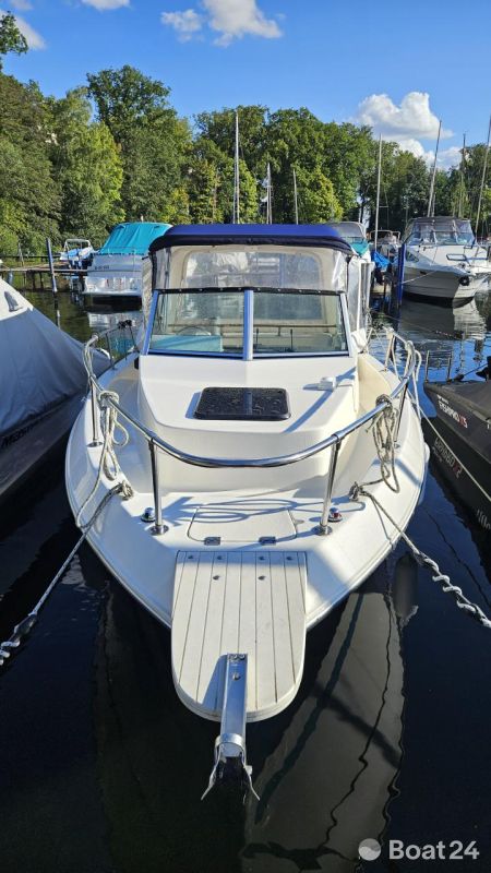 Seaswirl Striper 2150 Walkaround