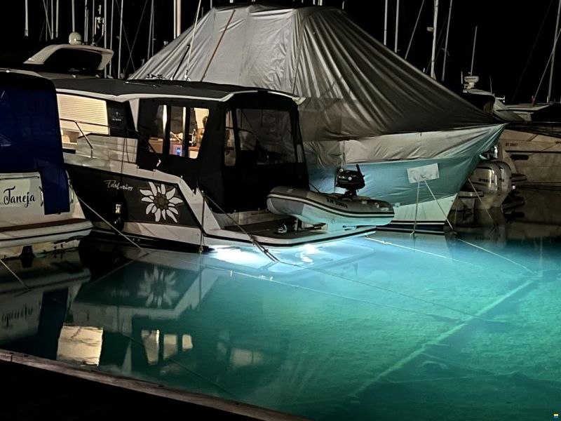 Sealine C335