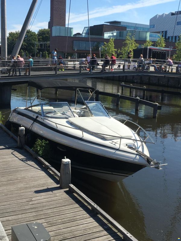 Cobalt 293