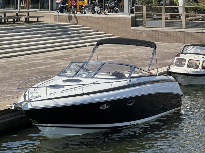 Cobalt 293