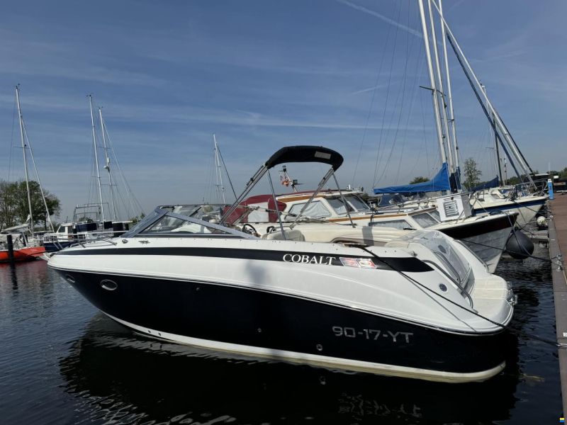Cobalt 293