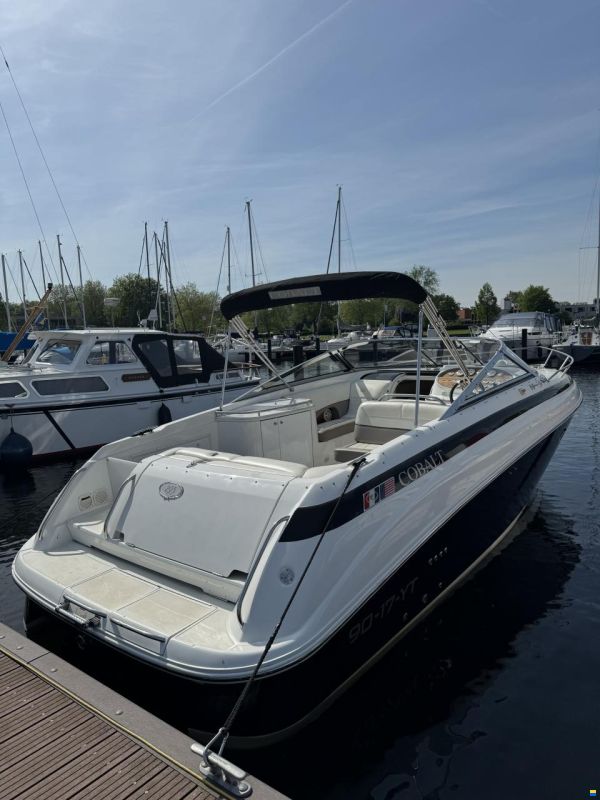 Cobalt 293