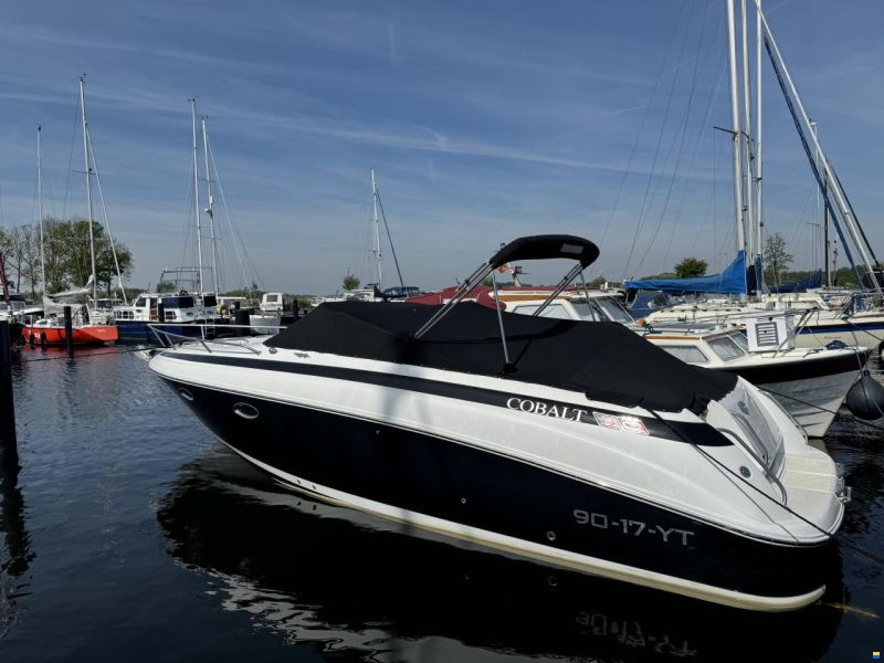 Cobalt 293