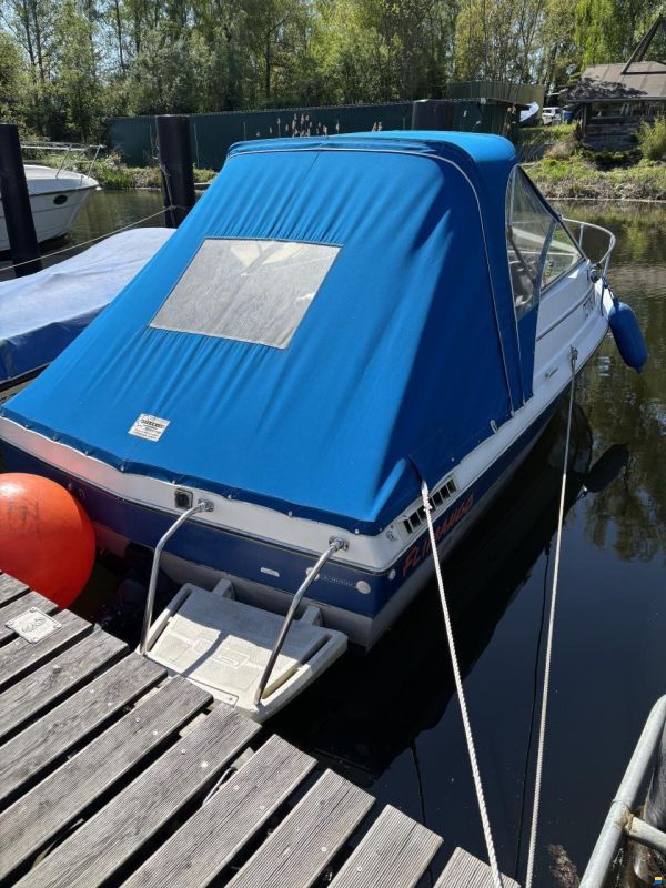 Bayliner Classic