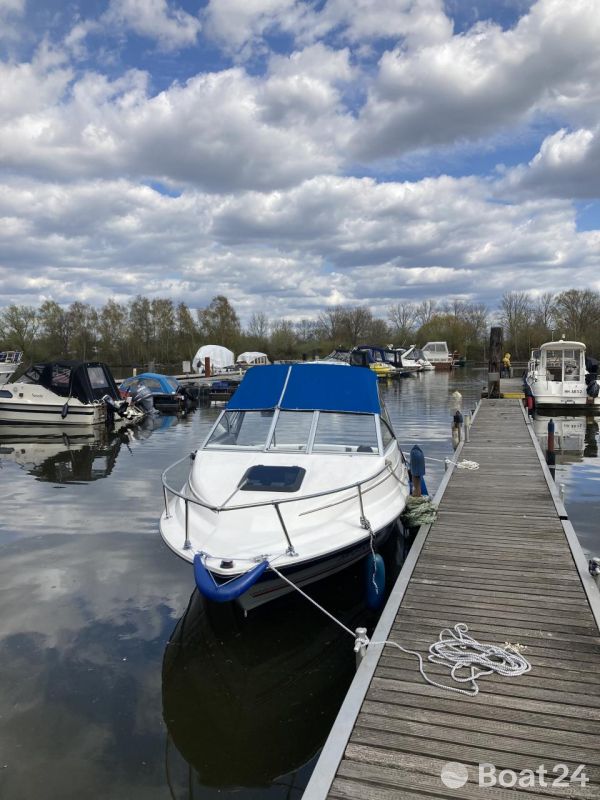 Bayliner Classic