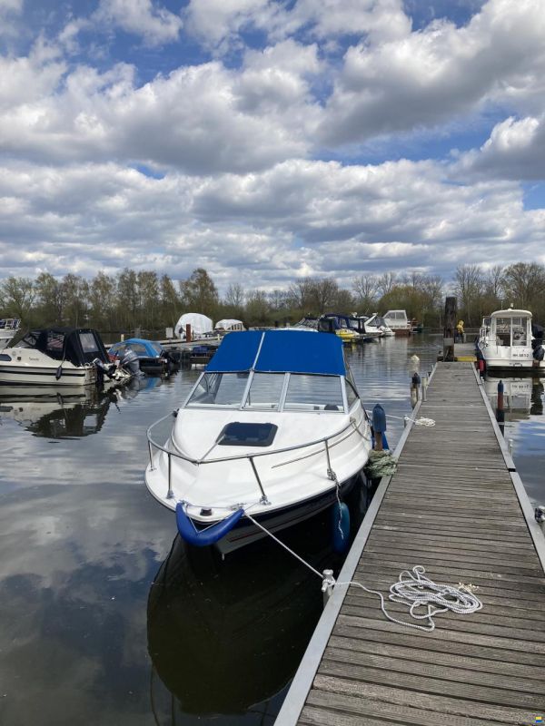 Bayliner Classic