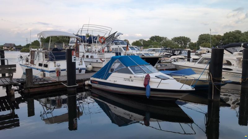 Bayliner Classic