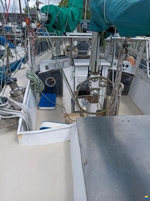 Assmann Segelketch