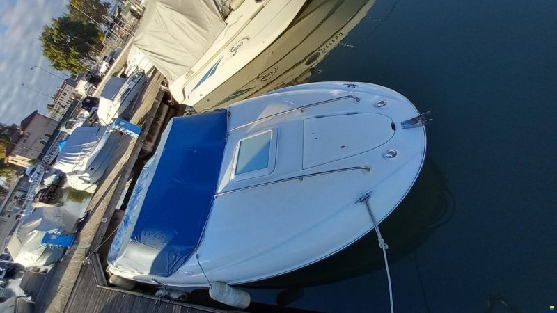 Bayliner Capri 602