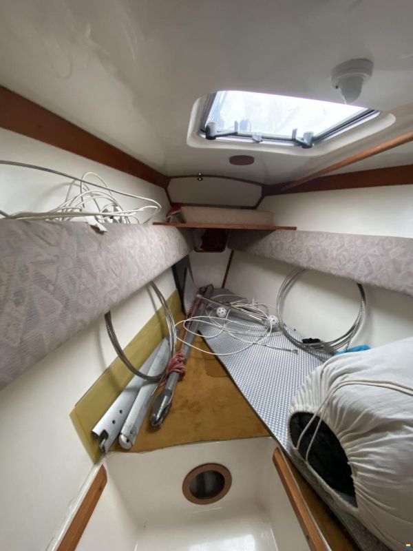 Yachtwerft Berlin Rommel Speedster Competition