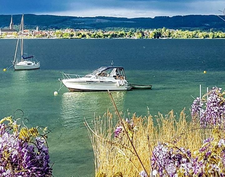 Fairline Carrera 24 –