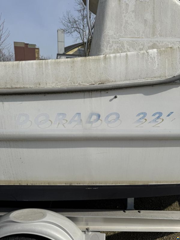 Sessa Dorado 22