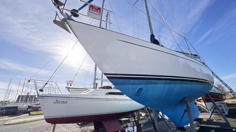 Bowman 36