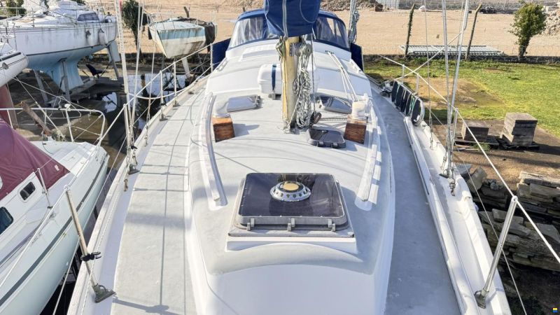 Bowman 36