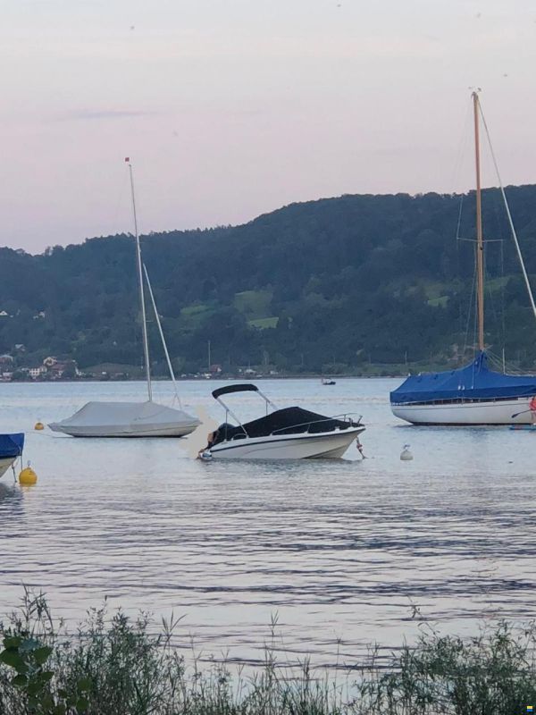 Trident Boats Sundeck 530