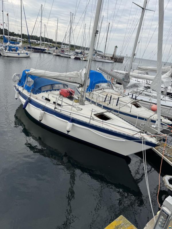 Forgus 31