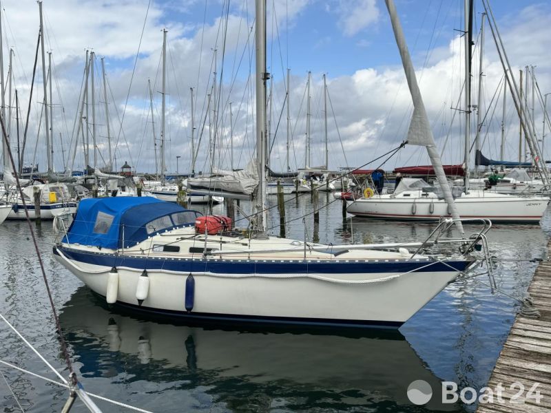 Forgus 31