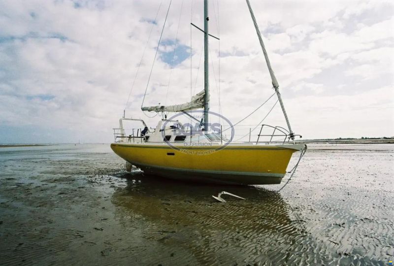 MANATEA 350