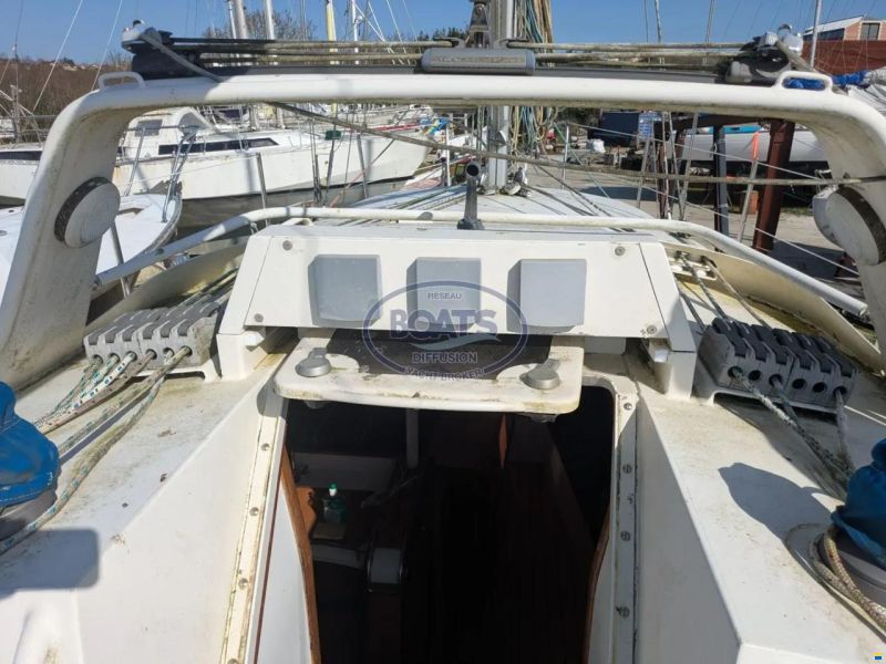 MANATEA 350