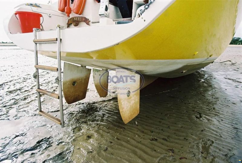 MANATEA 350