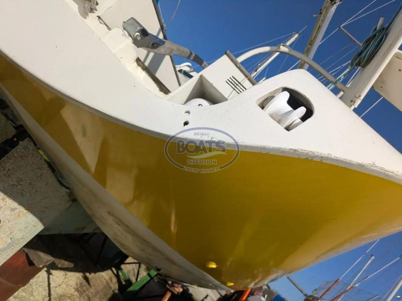 MANATEA 350