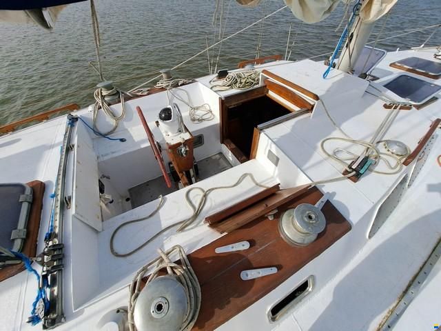 Custom boat