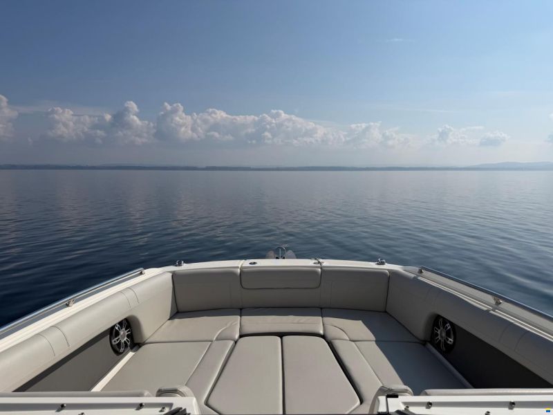 Sea Ray SDX 270