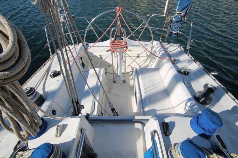 Oyster Lightwave 395
