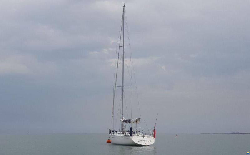 Oyster Lightwave 395
