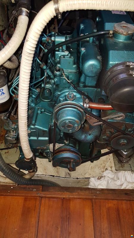 Tyler Boat Co Ohlson 35