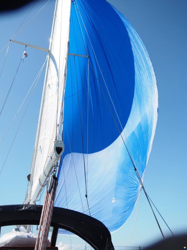 Tyler Boat Co Ohlson 35