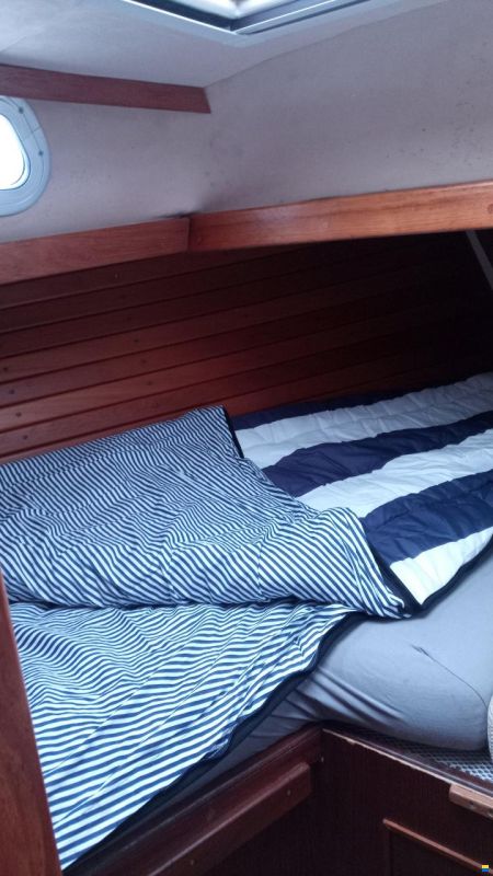 Tyler Boat Co Ohlson 35