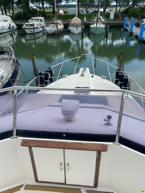 Horizon 36