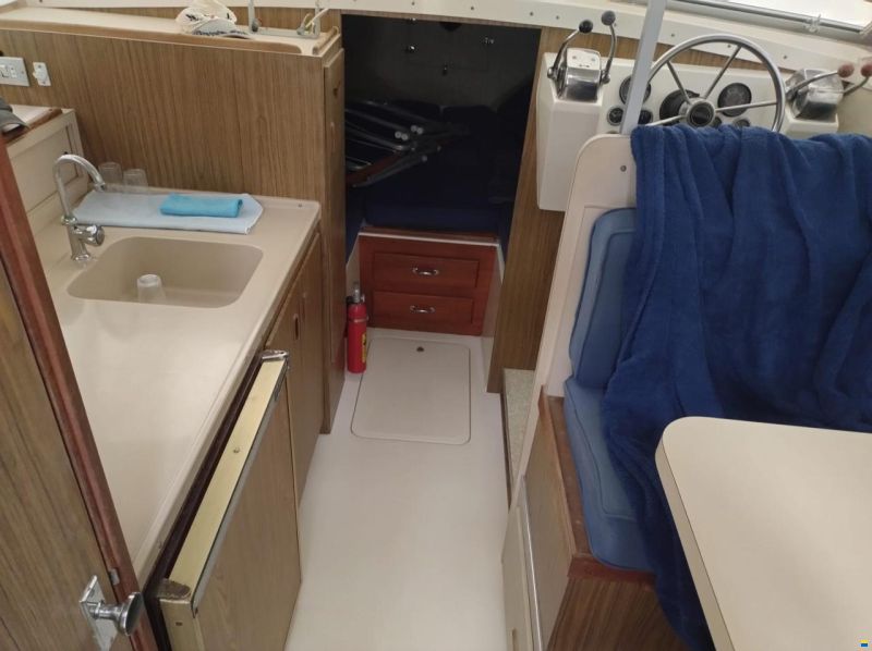 Bertram 28 Flybridge