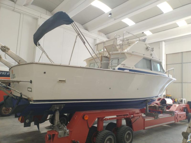 Bertram 28 Flybridge