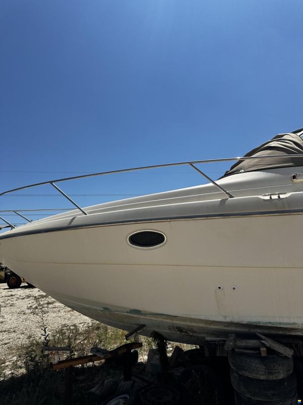 Cranchi Aquamarina 31