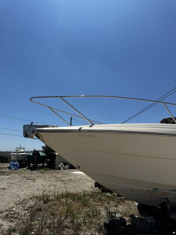Cranchi Aquamarina 31