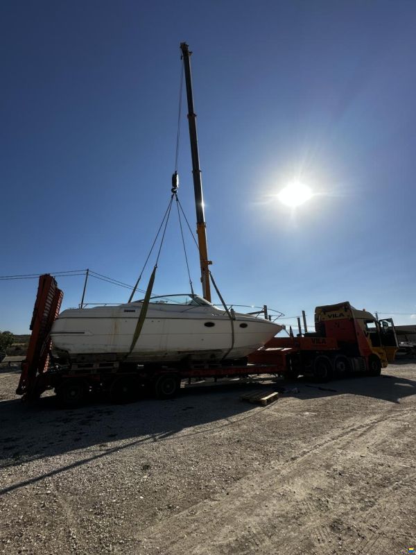 Cranchi Aquamarina 31