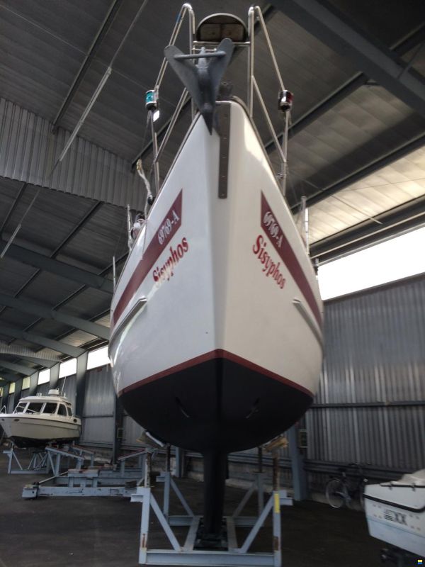 Aphrodite 40