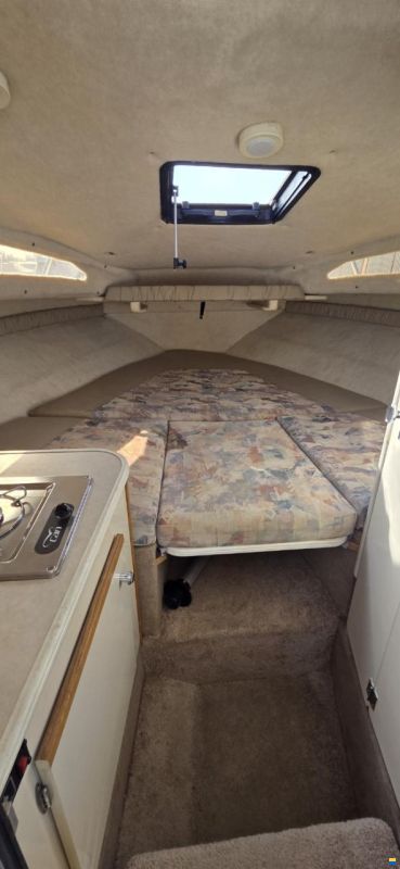Bayliner 2252 Ciera
