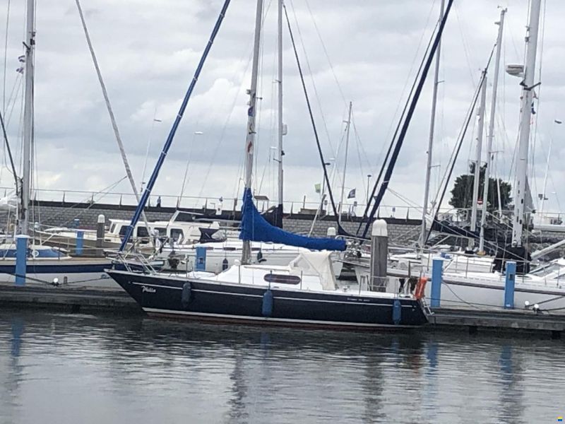 Mallard Ecume de Mer