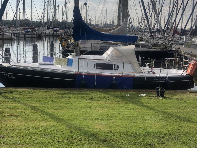 Mallard Ecume de Mer